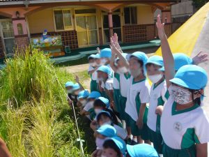 ９/２７(火)稲刈り